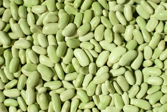 Close-up of verdinas beans texture background in light