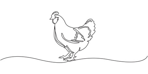 Simple one line drawing of a chicken standing in a minimalist continuous art style Vector, illustration, Continuous line art or One Line drawing of chicken for vector illustration, business farming. © Line Motion