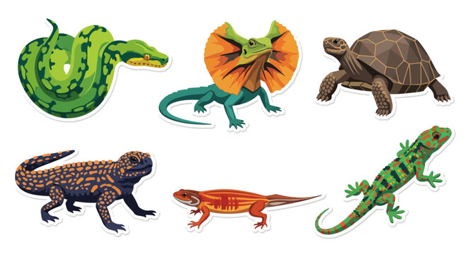 A vibrant collection of diverse reptiles, including a green snake, frilled lizard, tortoise, gila monster, newt, and gecko, showcasing their unique patterns and forms.
