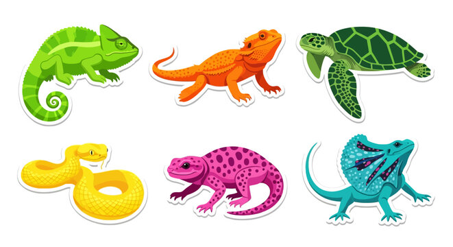 A vibrant collection of diverse reptile and amphibian stickers, showcasing a chameleon, bearded dragon, sea turtle, snake, gecko, and frilled lizard on a clean white background.