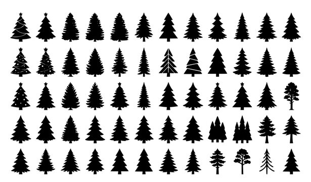 Large Pine Tree Silhouette Collection Forest Nature Elements Vector Set