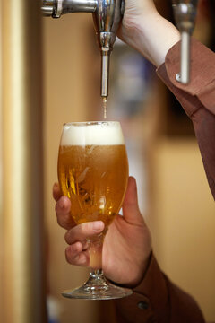Bartender pouring draft beer into glass with foamy head