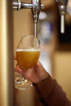 Close-up of draft beer pouring into glass at bar tap