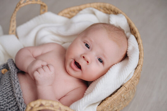 One month old baby boy resting in basket on soft blanket