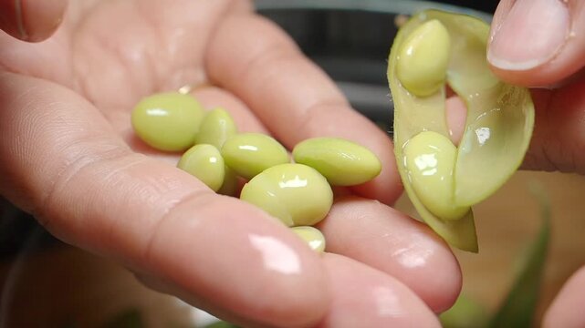 Process of preparing fresh edamame at home in the kitchen