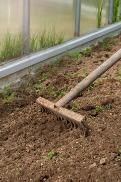 Preparing soil in greenhouse for planting