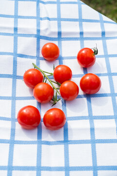 Cherry tomato on checkered cloth in bright sunlight