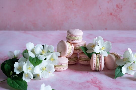 Pink macarons with pistachio cream and white flowers