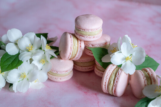 Pink macarons with pistachio cream and white flowers
