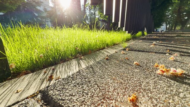 The morning sun flashes through a wooden fence, lighting up vibrant green grass next to a walkway. Early morning rush hour begins nearby, resulting in the continuous, distant rumble of city traffic.