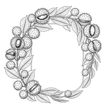 Detailed chestnut wreath illustration with leaves and burrs in vintage engraving style