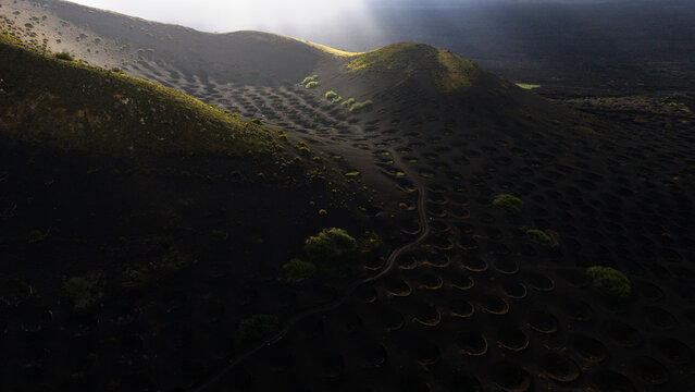 Magical light over Lanzarote volcanic vineyard and grape pits