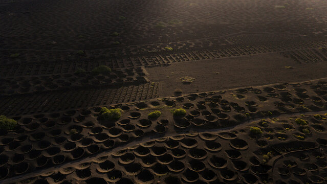 Aerial view of Lanzarote grape vineyard in magical light