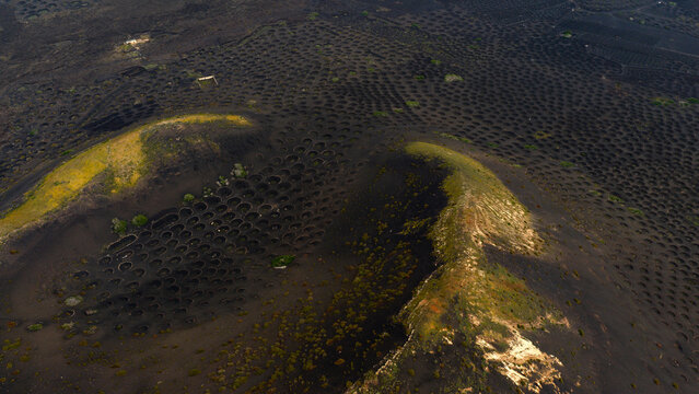 Aerial vineyard patterns in Lanzarote under magical light