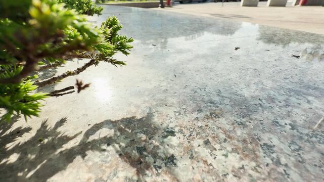 A polished granite ledge reflects the open sky beside a small green bush. Distant city traffic hums and rumbles across the pavement. The vehicles create a continuous background roar.