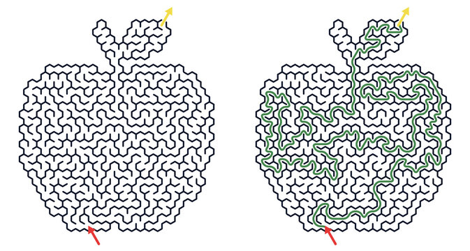 Apple shaped maze puzzle