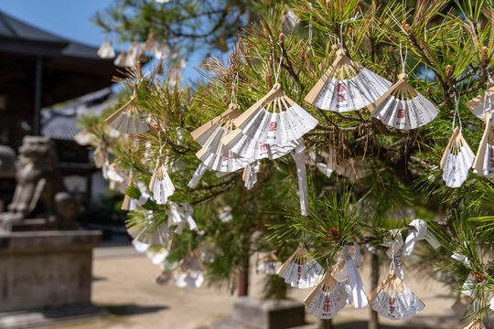 Miyazu Bay, Japan - The folding fans (sensu) at Chionji Temple, is a Japanese Zen Buddhism temple