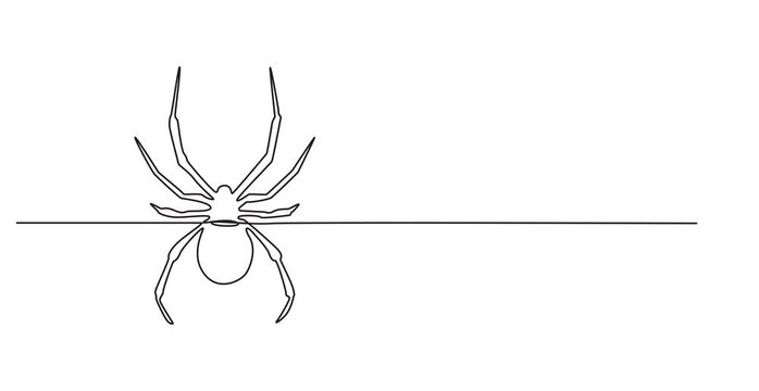 Animated self drawing of one continuous line draw spider pull out the web for business logo identity. Cute insect animal concept for pet lover icon. Full length single line animation .pro
