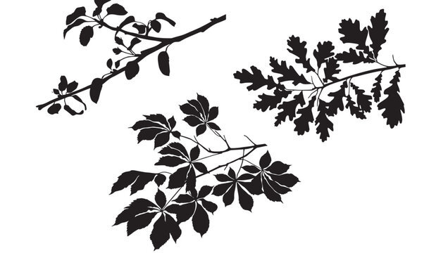 Leaves Branch Silhouette Set with Black Botanical Shapes for Decorative Vector Background and Modern Design Projects