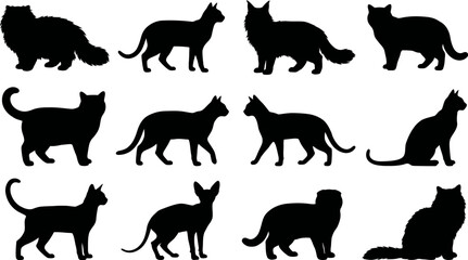 Collection of cat silhouettes in various poses and breeds on white background © SAYEDAJANNATUL