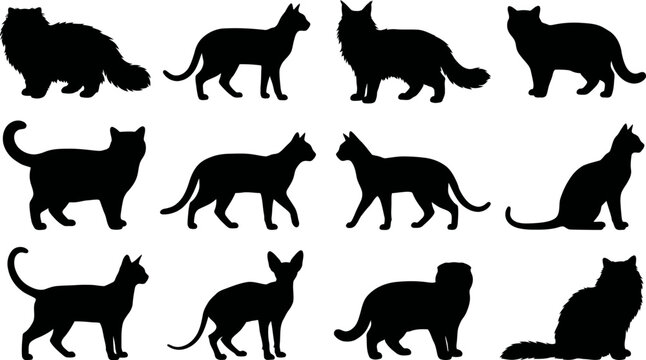 Collection of cat silhouettes in various poses and breeds on white background
