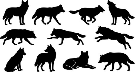 Collection of wolf silhouettes in various poses and movements together © SAYEDAJANNATUL