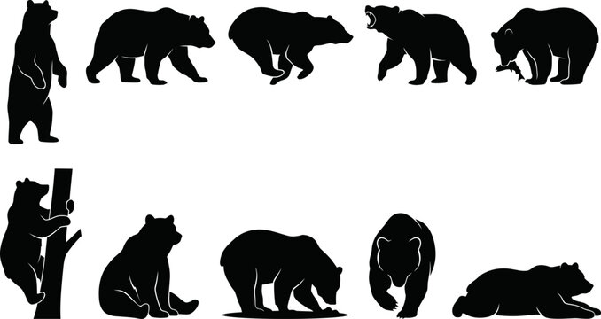 Set of black bear silhouettes in various poses and actions on white background