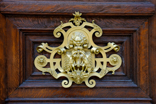 Ornate Door Knocker on Wooden Door