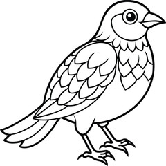 Fototapeta premium Black and White Outline of a Small Bird drawing illustration