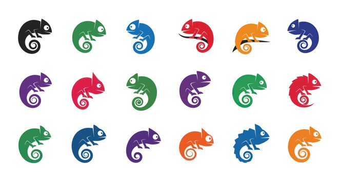 Colorful chameleon icon set for branding and logo design