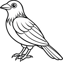 Fototapeta premium Black and white drawing of a small bird illustration
