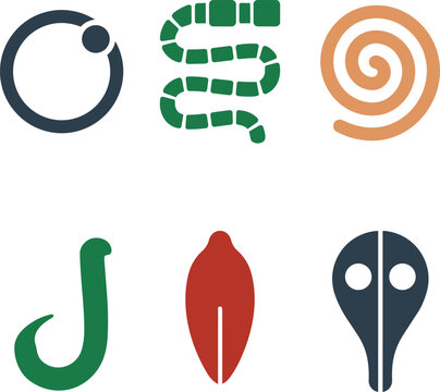 Parasite Shapes Plasmodium Tapeworm Roundworm Hookworm Fluke Giardia