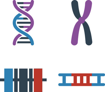 DNA Genetics Symbols Double Helix Chromosome Plasmid Codon Allele Gene