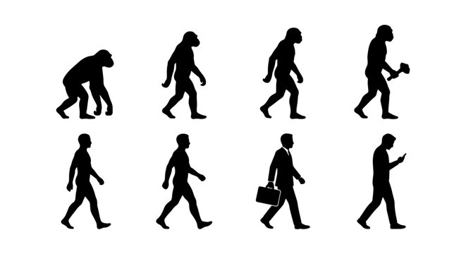 Human Evolution Silhouette Series, From Ape to Modern Man, Progress and Development Stages, Scientific Concept Vector Art