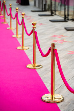 Pink Carpet with Golden Stanchions and Red Velvet Ropes at VIP Event Entrance