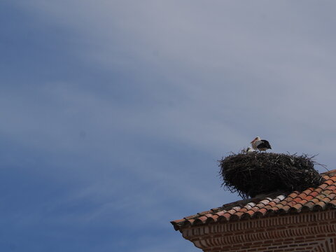 Una cig&uuml;e&ntilde;a blanca (Ciconia ciconia) permanece de pie junto a sus polluelos en un gran nido de ramas construido sobre el tejado de tejas de una edificaci&oacute;n tradicional