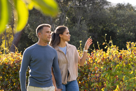 Diverse couple walking along trellised grapevines at vineyard, woman pointing, wristwatch visible
