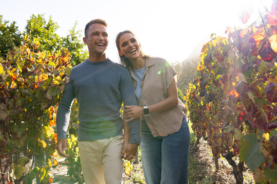 Diverse couple holding hands linking arms, walking through sunlit vineyard rows with smartwatch