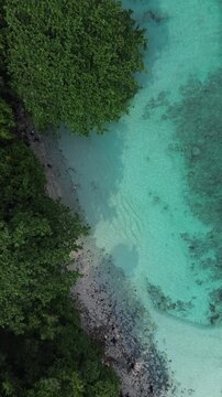 Top Down Aerial Of Jungle Shore And Turquoise Coral Reef