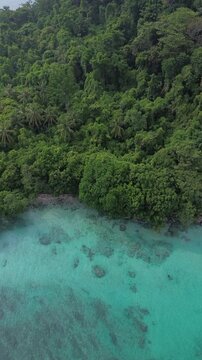 Top Down Aerial Of Lush Jungle Canopy Meeting Turquoise Reef