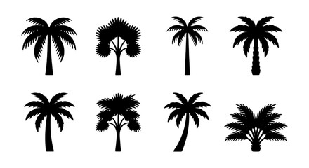 Fototapeta premium Palm Tree Silhouettes, Tropical Flora Vector Icons, Exotic Botanical Illustrations, Summer Vacation Elements, Black and White Graphic Set