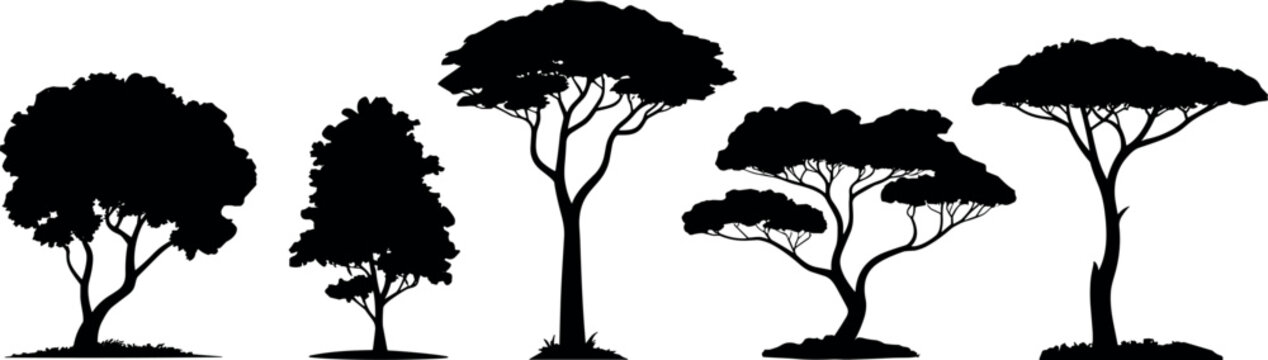 African savanna acacia trees vector silhouette collection flat illustration design elements isolated set for wild safari nature landscape background