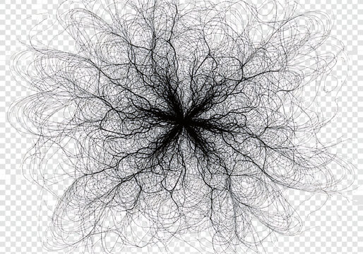 Abstract tangled black lines resembling roots or neural network