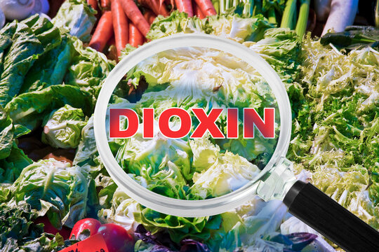 DIOXIN CONTAMINATION IN FRESH VEGETABLES INSPECTED WITH A MAGNIFYING GLASS - FOOD SAFETY AND QUALITY CONTROL CONCEPT FEATURING LETTUCE, AGRICULTURE, PRODUCE, TOXIC SUBSTANCES AND HEALTH RISK