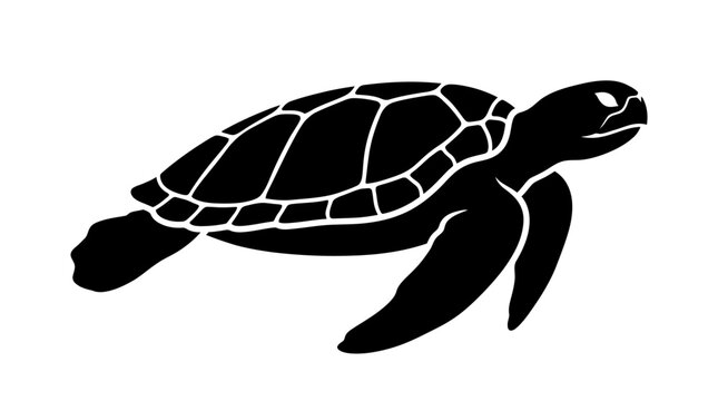 Sea turtle silhouette against a white background graphic illustration