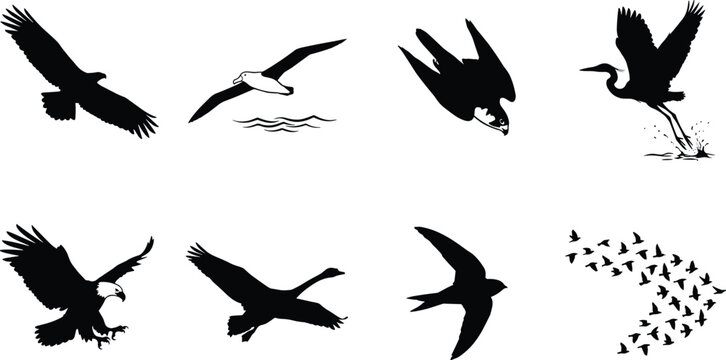 Flying birds silhouettes vector icons set featuring eagle, seagull, falcon diving, heron taking off, goose, swallow, and flock of birds.
