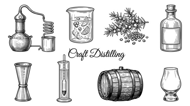 Craft Distilling Equipment and Gin Ingredients Vintage Hand Drawn Vector Set including Alembic Still, Barrel, Bottle, and Juniper Branch