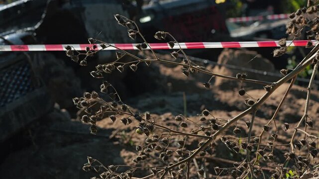 Close up of dry plant with shallow depth of field. Blurred background shows muddy terrain and warning tape from off road race. Natural light and earthy tones create rugged, adventurous feel