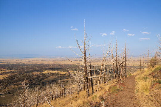 Hiking trail on Monchin Butte cinder cone at lava beds national monument, New Mexico
