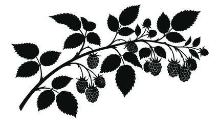 Raspberry branch with berries and leaves black silhouette © TanjilaAkter
